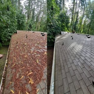 Roof Cleaning Leeds